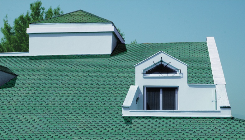 Poligon profesyonel Çatı aktarma – Shingle cati örneği